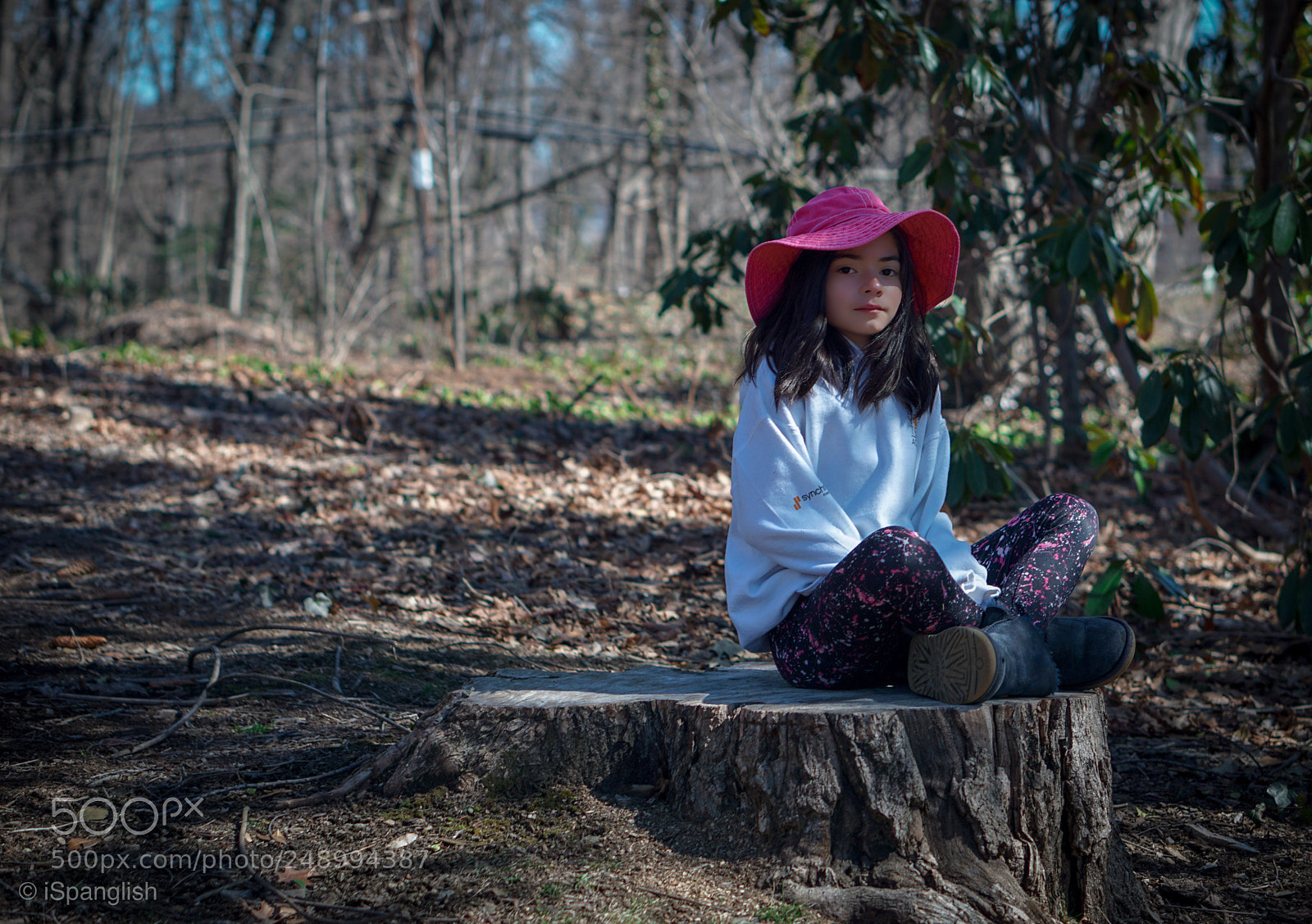 Sony a6000 sample photo. Img photography