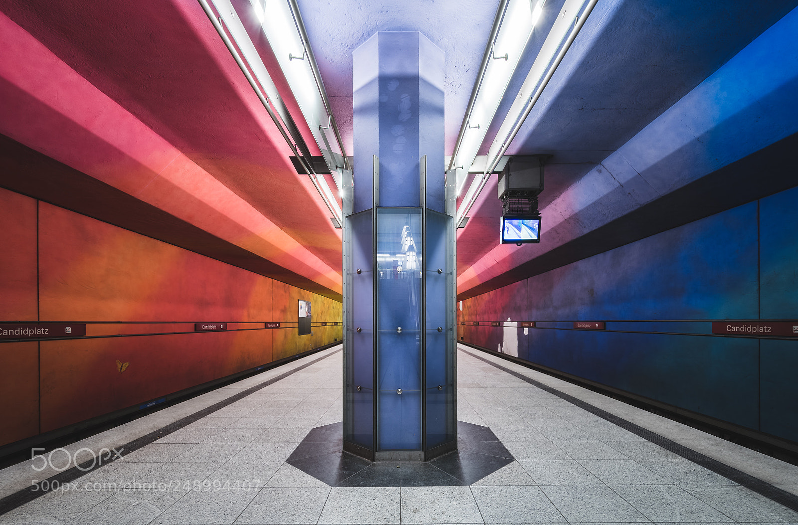 Nikon D500 sample photo. Subway butterfly photography