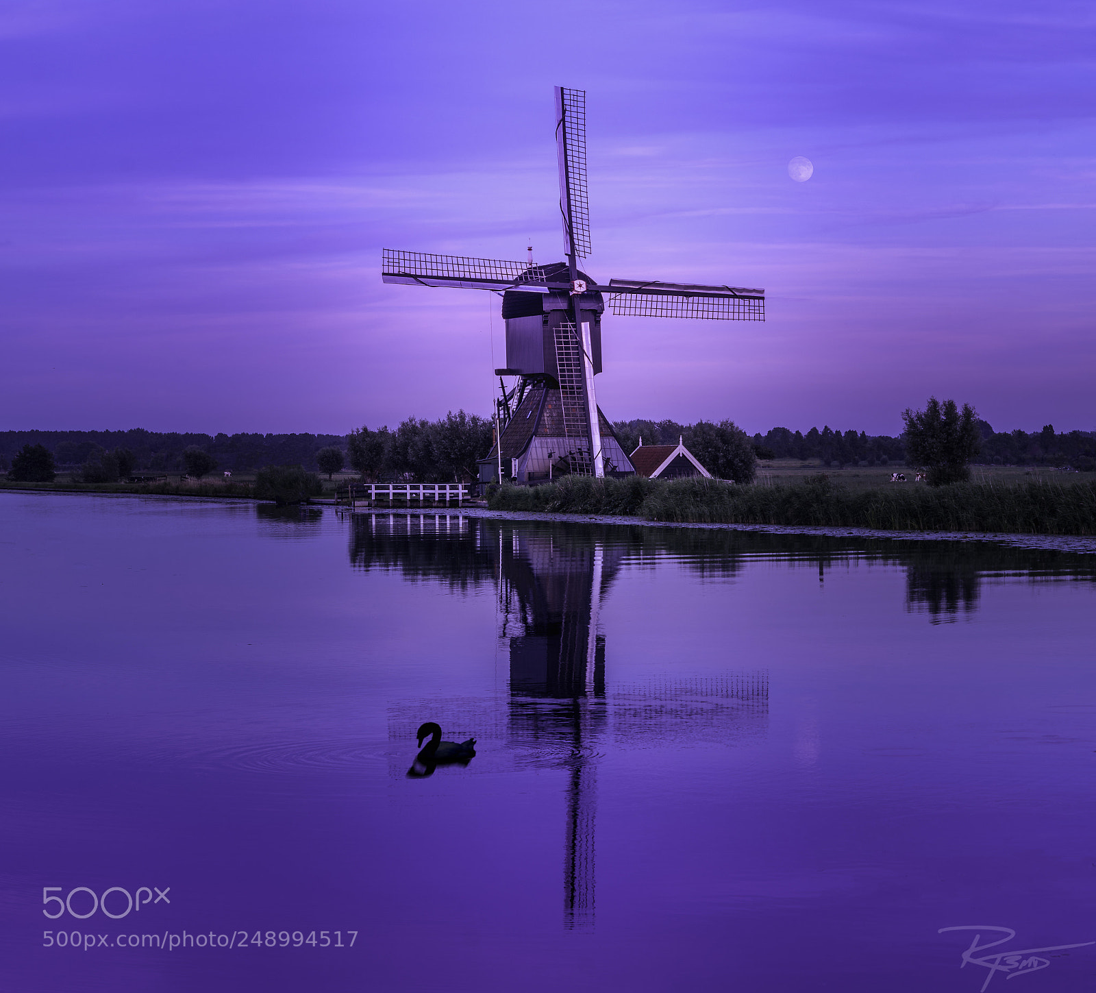 Sony a7R II sample photo. Kinderdijk's odd duck photography