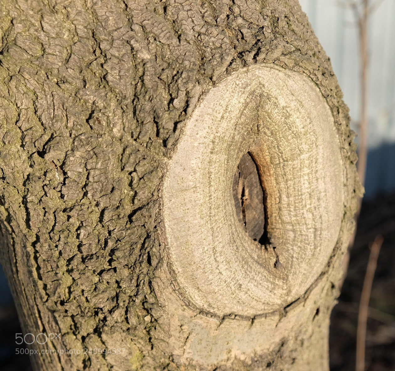 Fujifilm X-T1 sample photo. Untitled photography