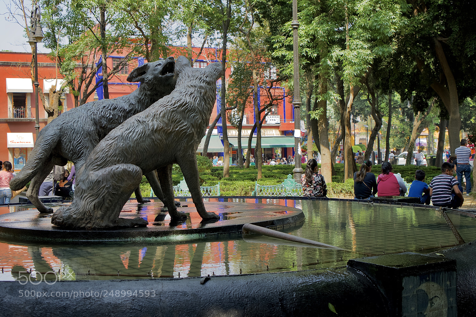 Sony a7 II sample photo. "coyotes" photography
