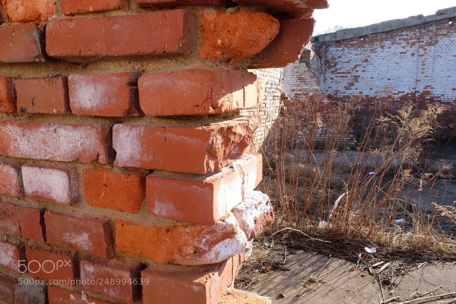 Fujifilm X-T1 sample photo. Untitled photography