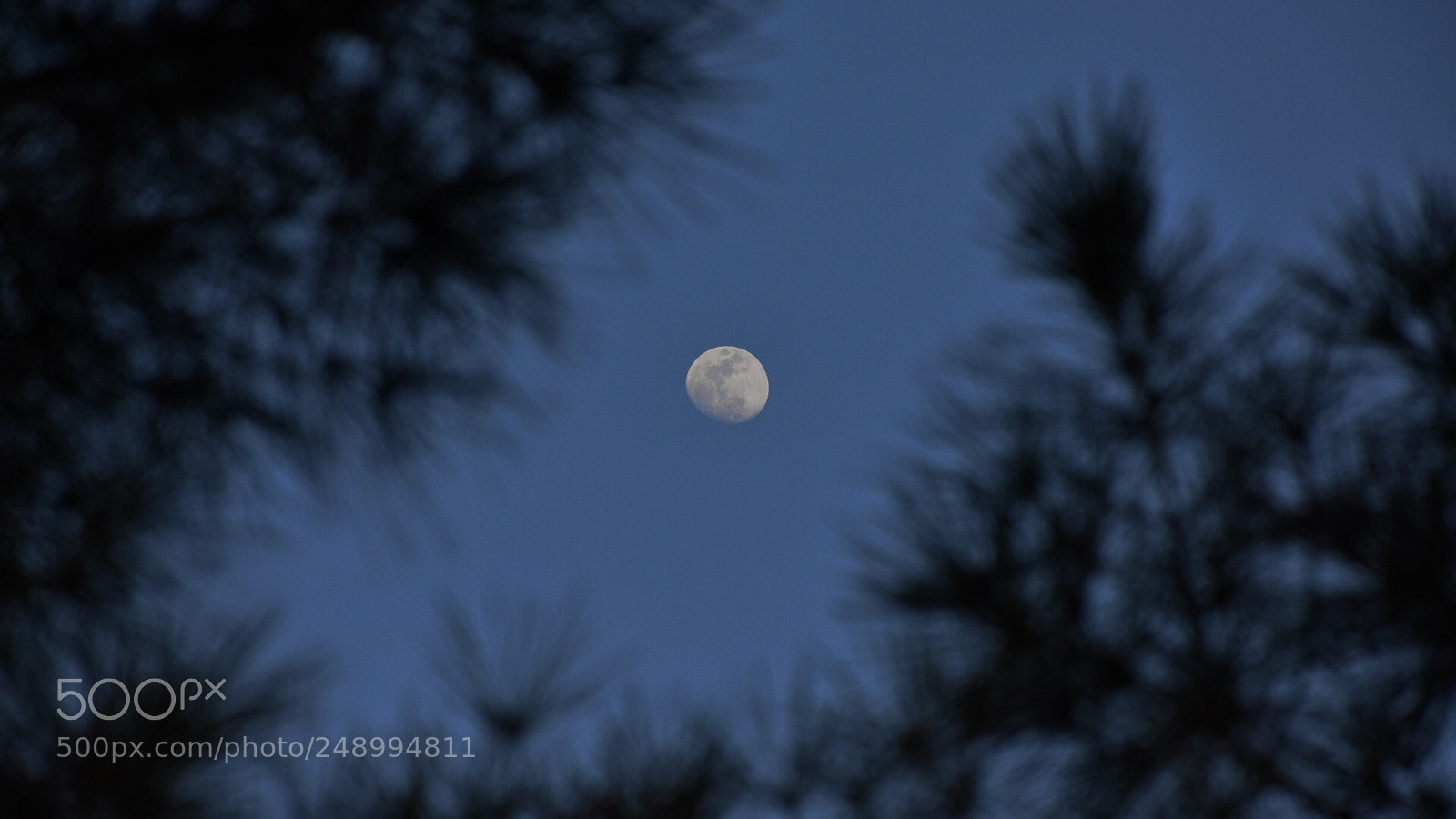 Nikon D7200 sample photo. اولـین عکسـم از مـاه :) photography