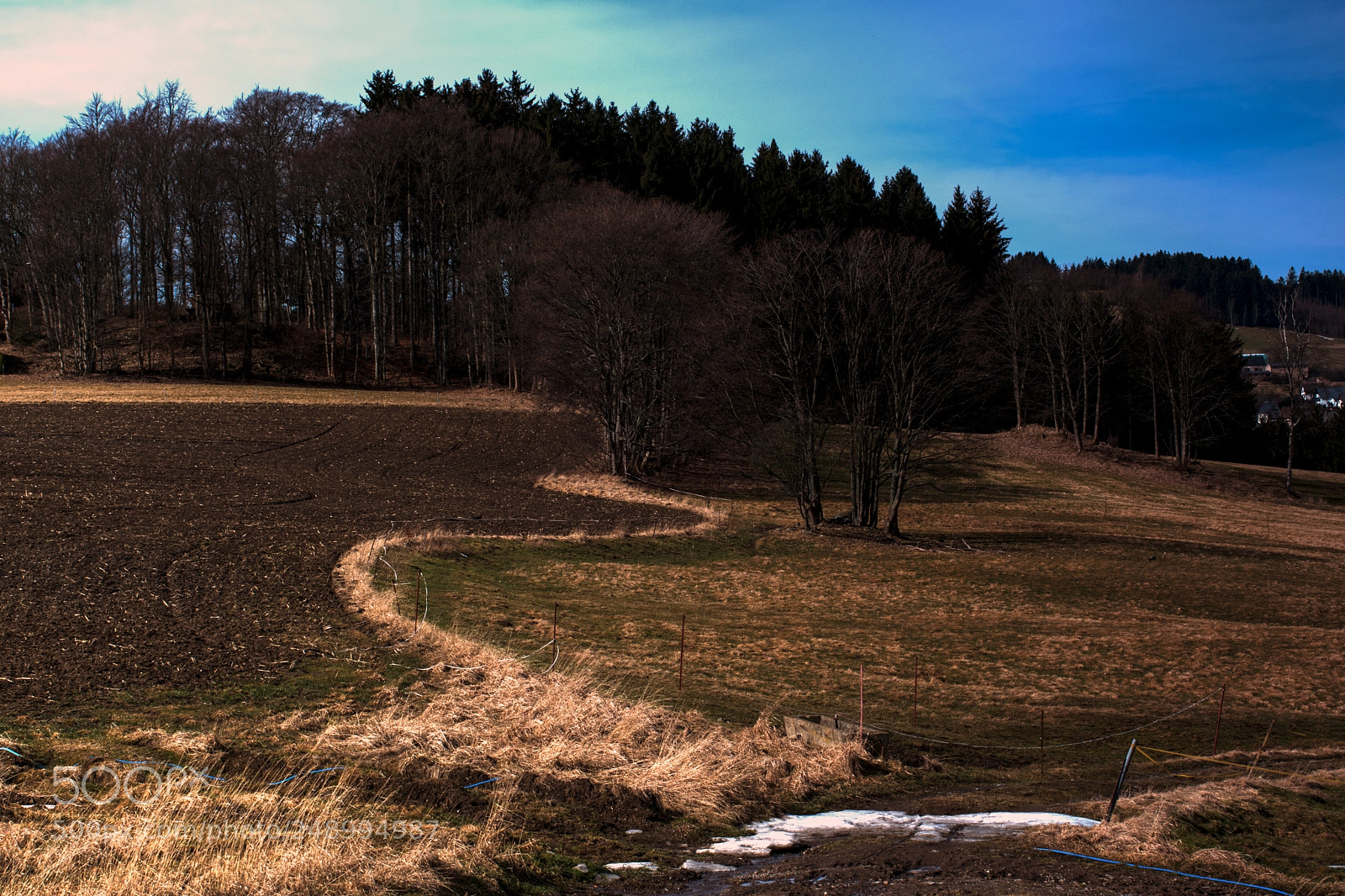 Nikon D5200 sample photo. First sign of spring photography
