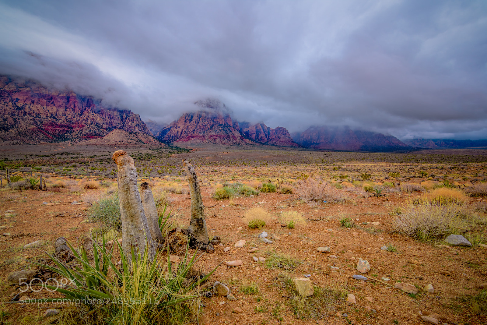 Nikon D7200 sample photo. Moody red rocks photography