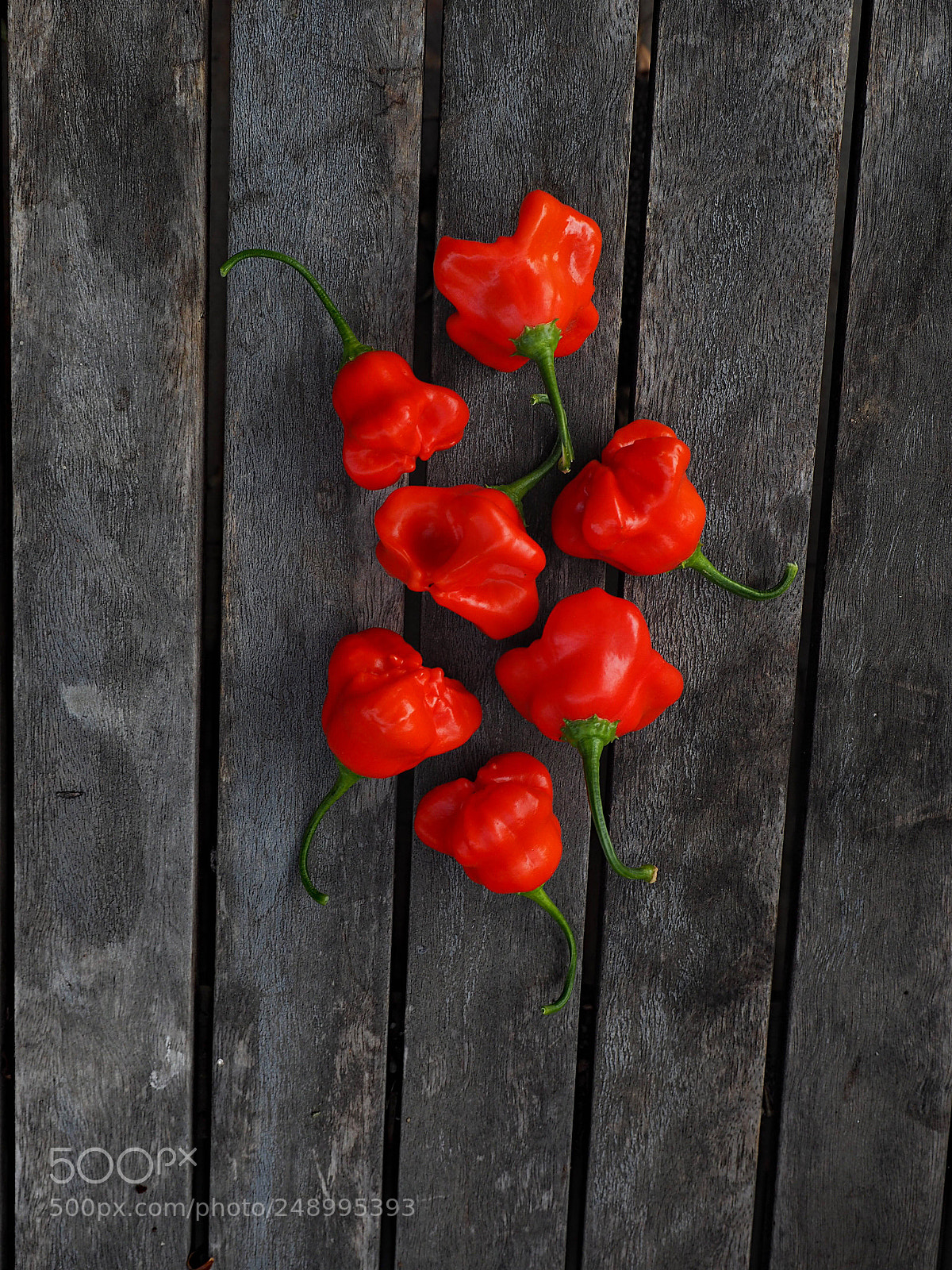 Olympus OM-D E-M5 II sample photo. Mad hatter capsicums. photography