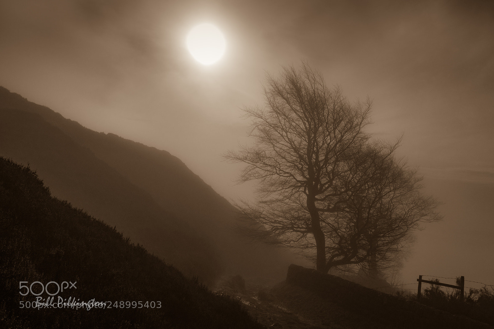Canon EOS 750D (EOS Rebel T6i / EOS Kiss X8i) sample photo. Misty morning at orchan photography