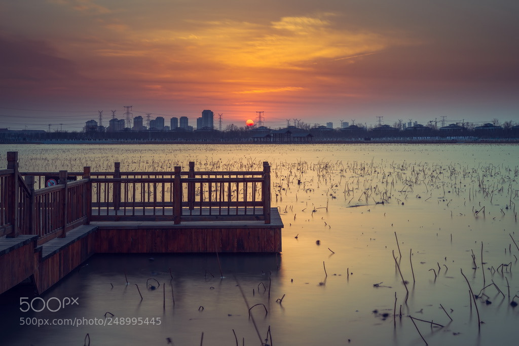 Canon EOS 6D Mark II sample photo. Sunset photography