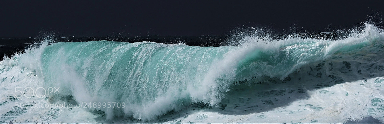Olympus OM-D E-M1 Mark II sample photo. Wild wave at sunlight photography