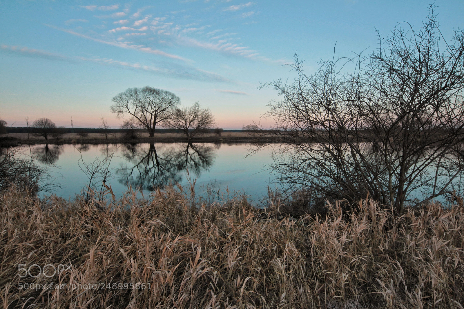 Canon EOS-1D Mark IV sample photo. Untitled photography