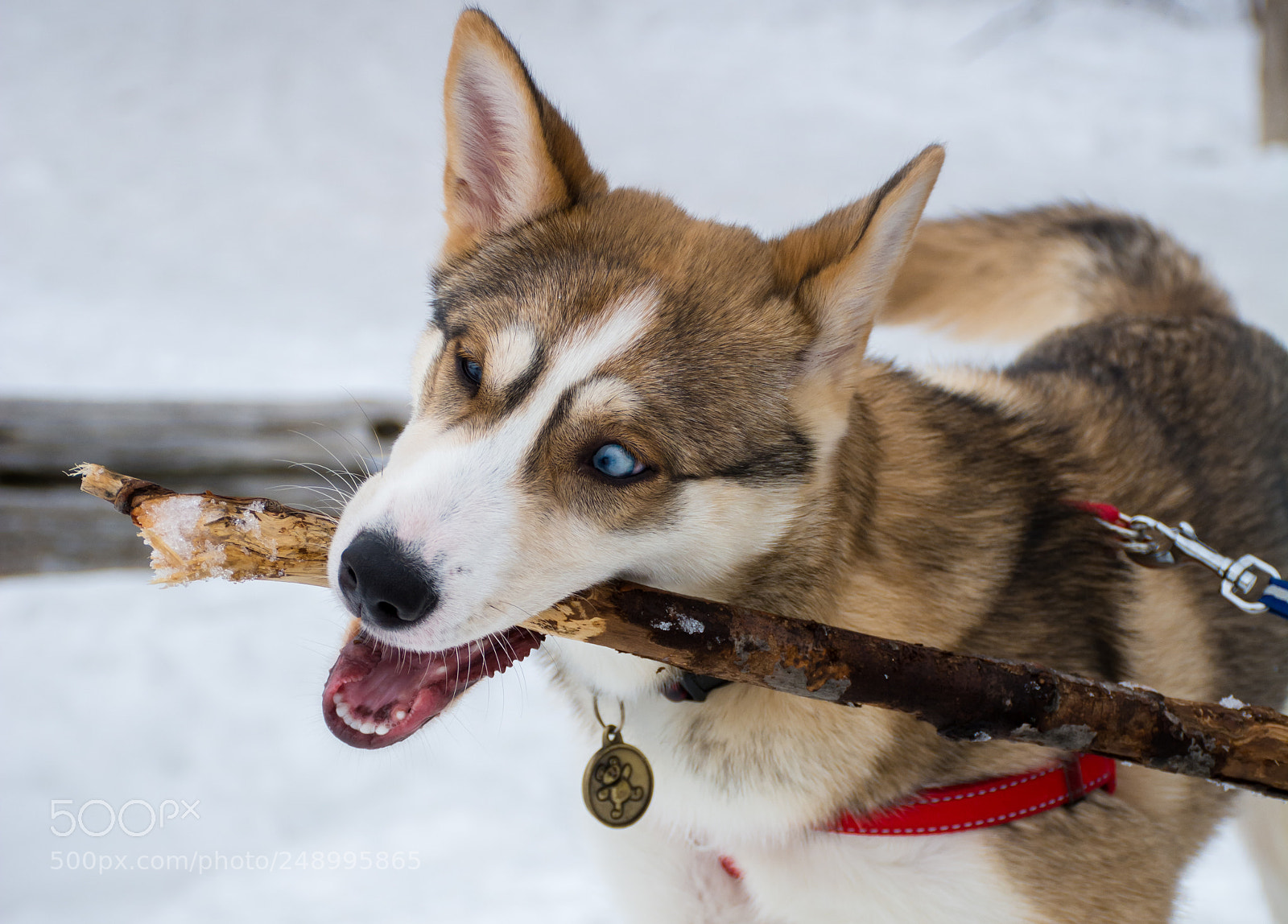 Nikon D7100 sample photo. Nami photography