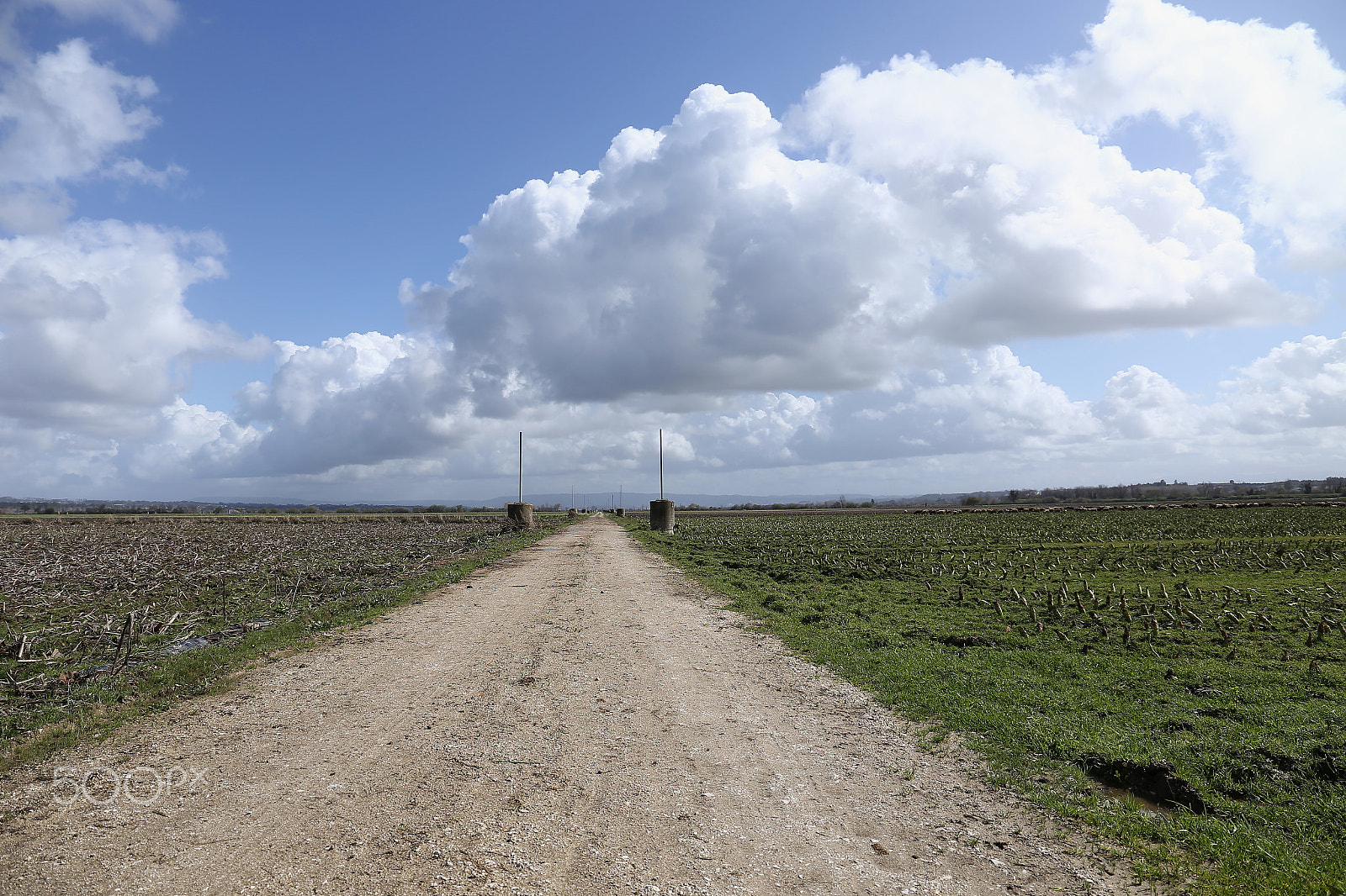 Canon EF 24-105mm F3.5-5.6 IS STM sample photo. Rural photography