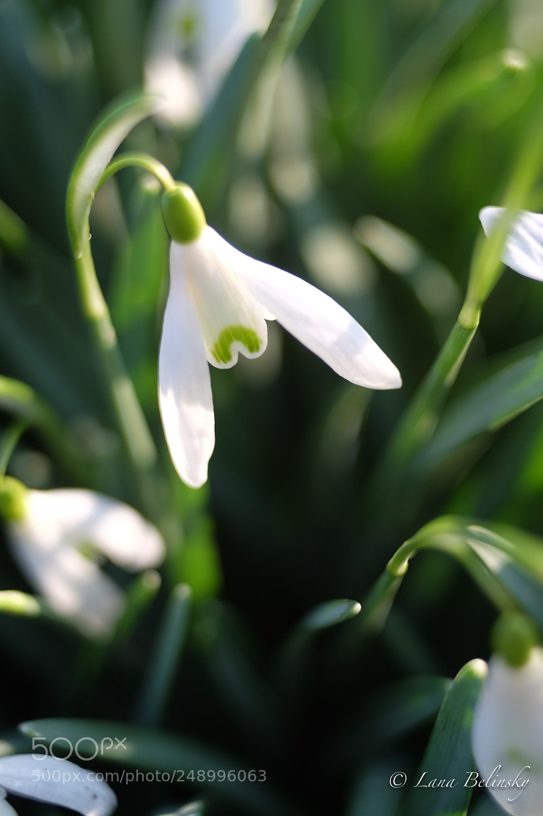 Fujifilm X-E2S sample photo. Deja vu photography