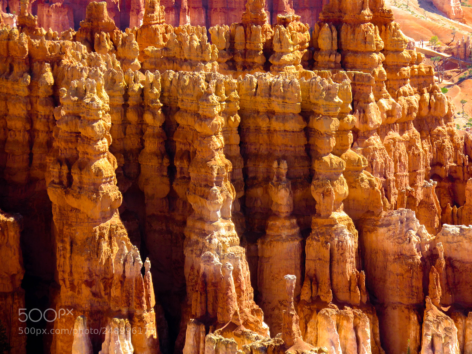 Canon PowerShot SX710 HS sample photo. Hoodoos of bryce photography