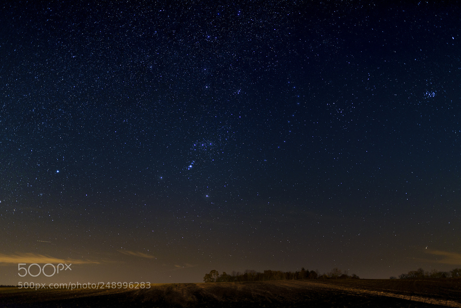Nikon D610 sample photo. King of the sky photography