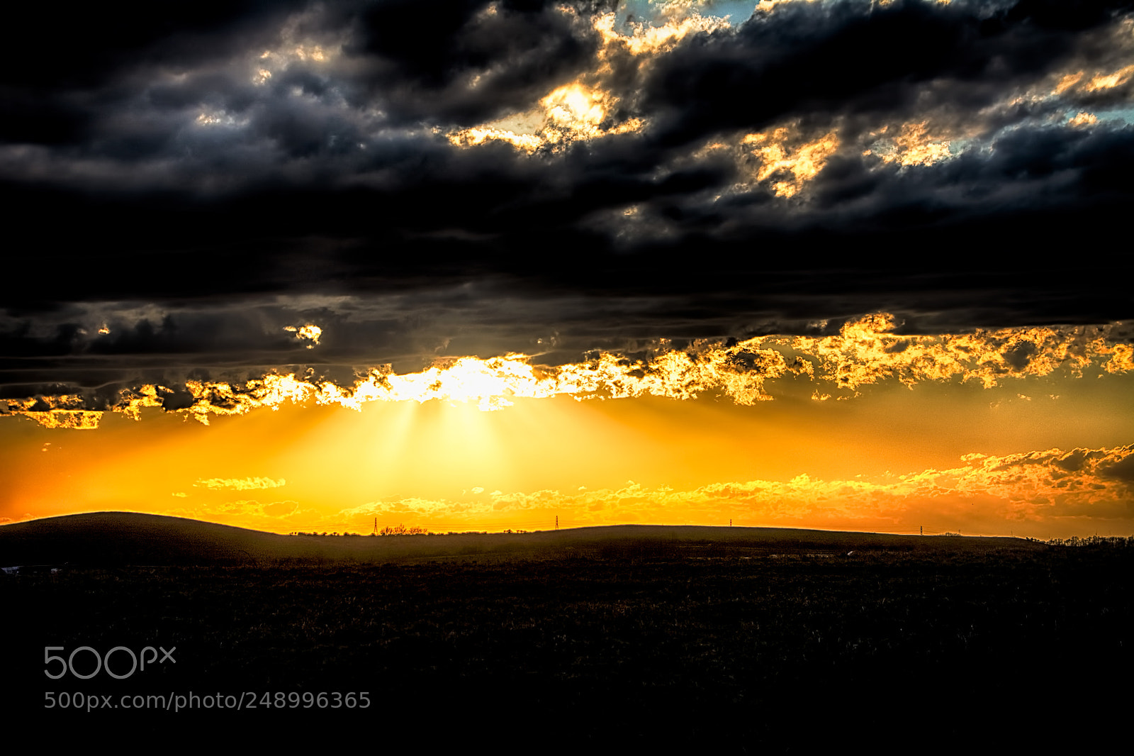 Nikon D7100 sample photo. Golden rays photography
