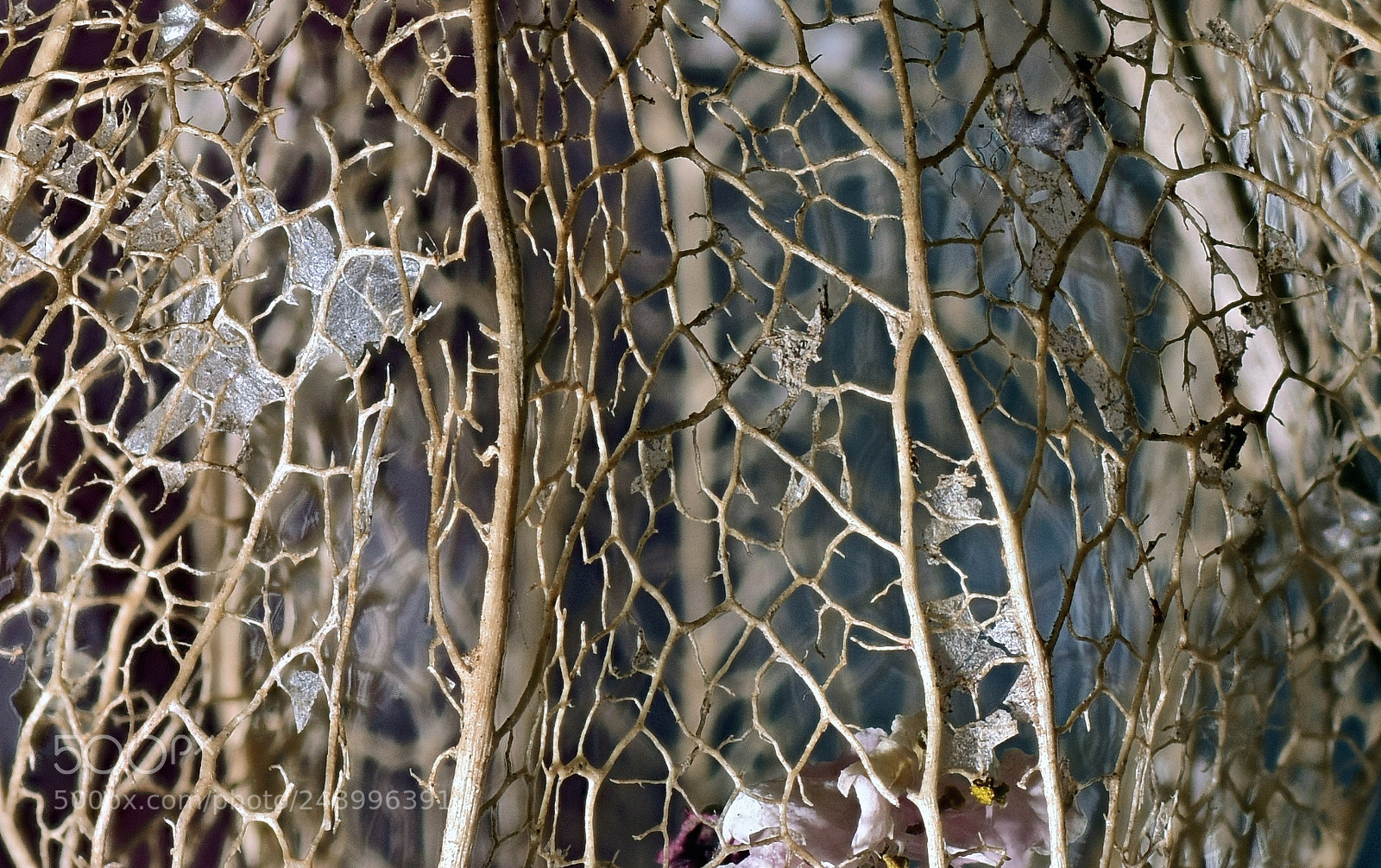 Nikon D5500 sample photo. Structure photography