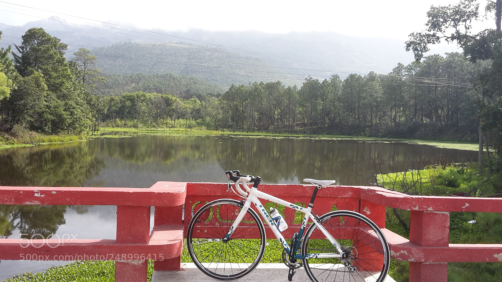 Samsung Galaxy S5 Mini sample photo. Bicycle and nature photography
