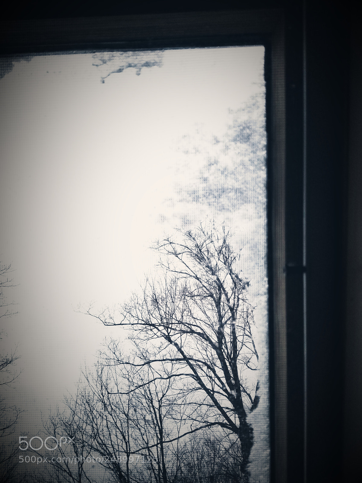 Samsung Galaxy S8 sample photo. Winter photography
