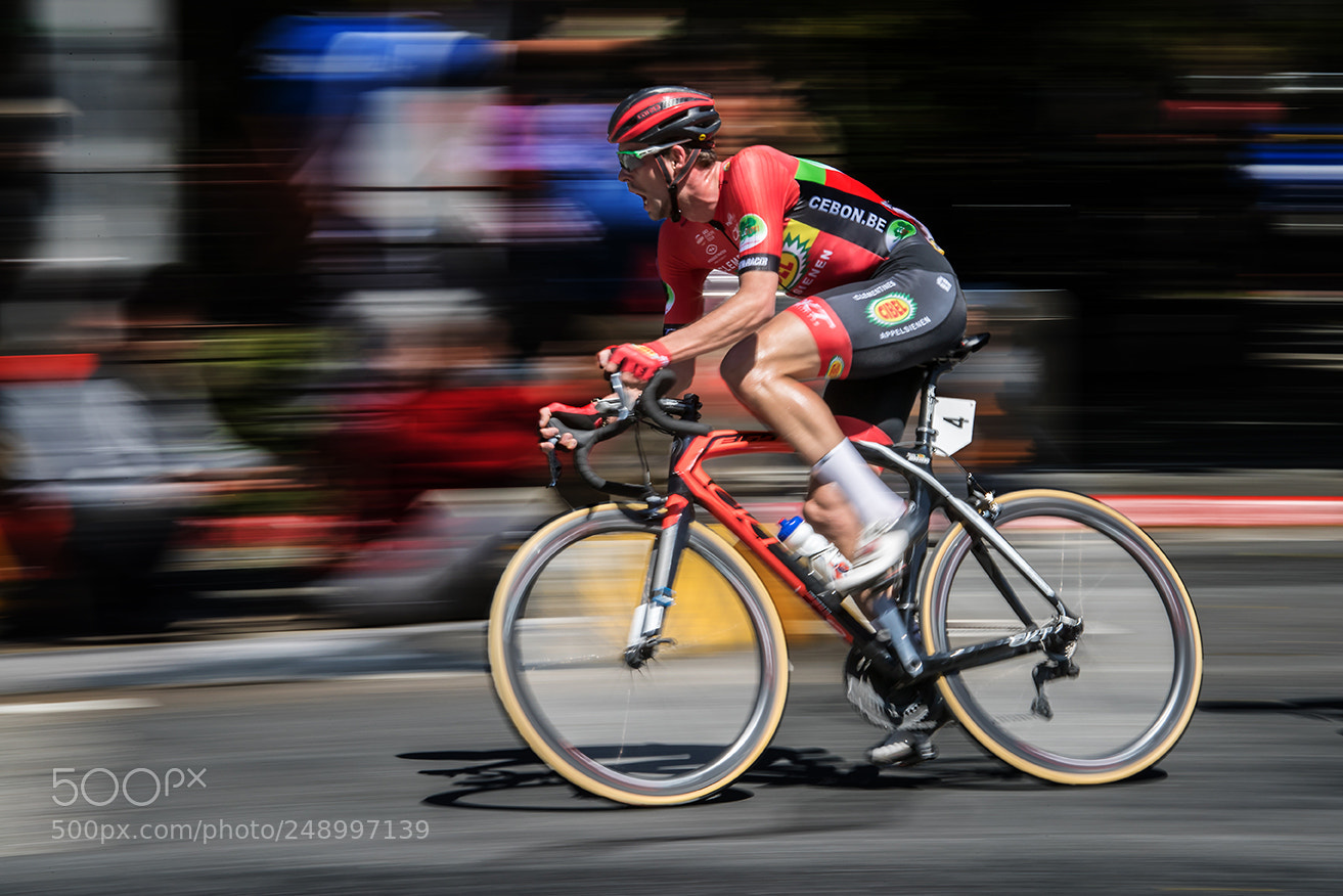 Canon EOS-1D X Mark II sample photo. 1111.jpg photography