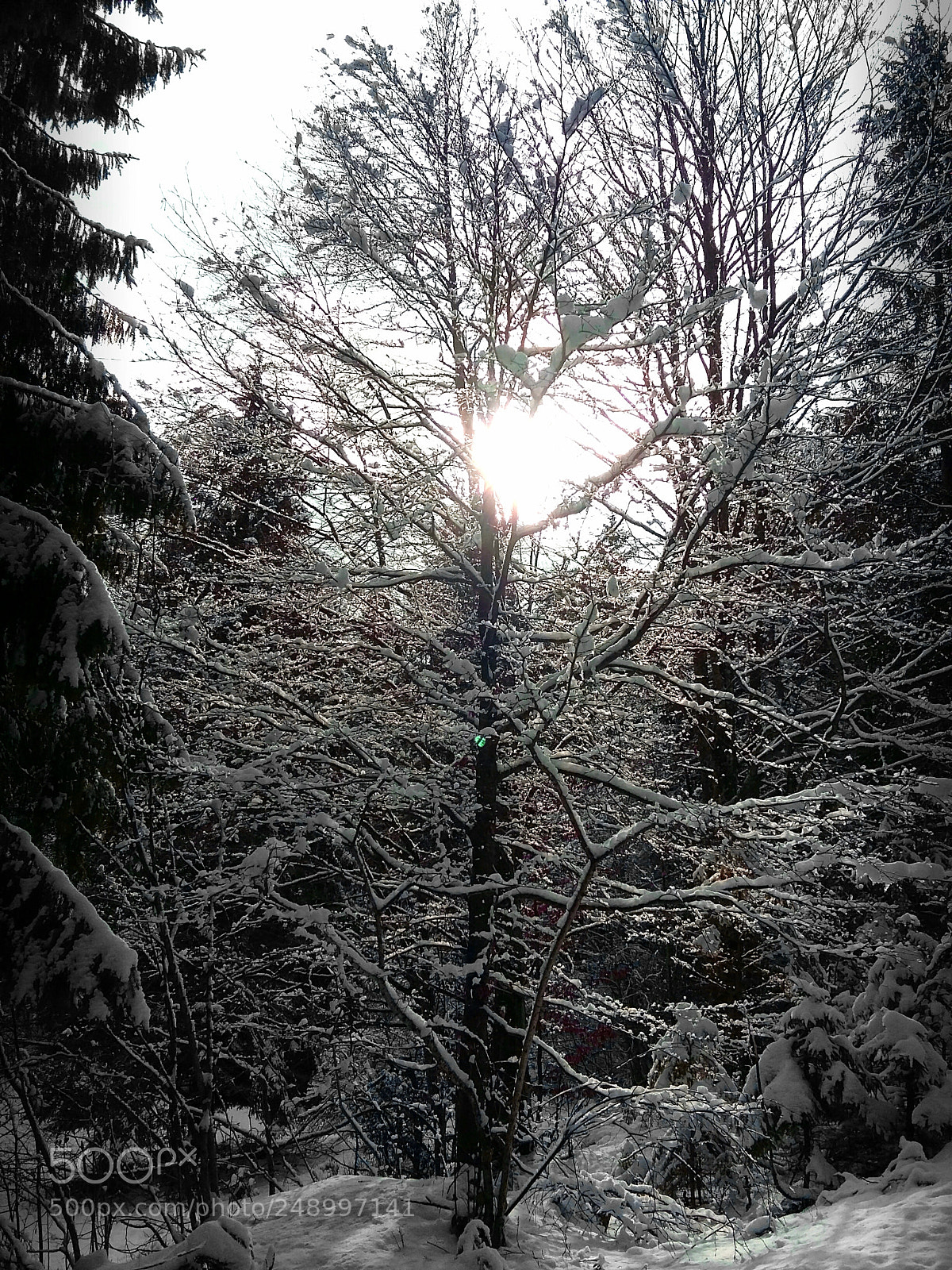 Samsung Galaxy Grand Prime sample photo. Untitled photography