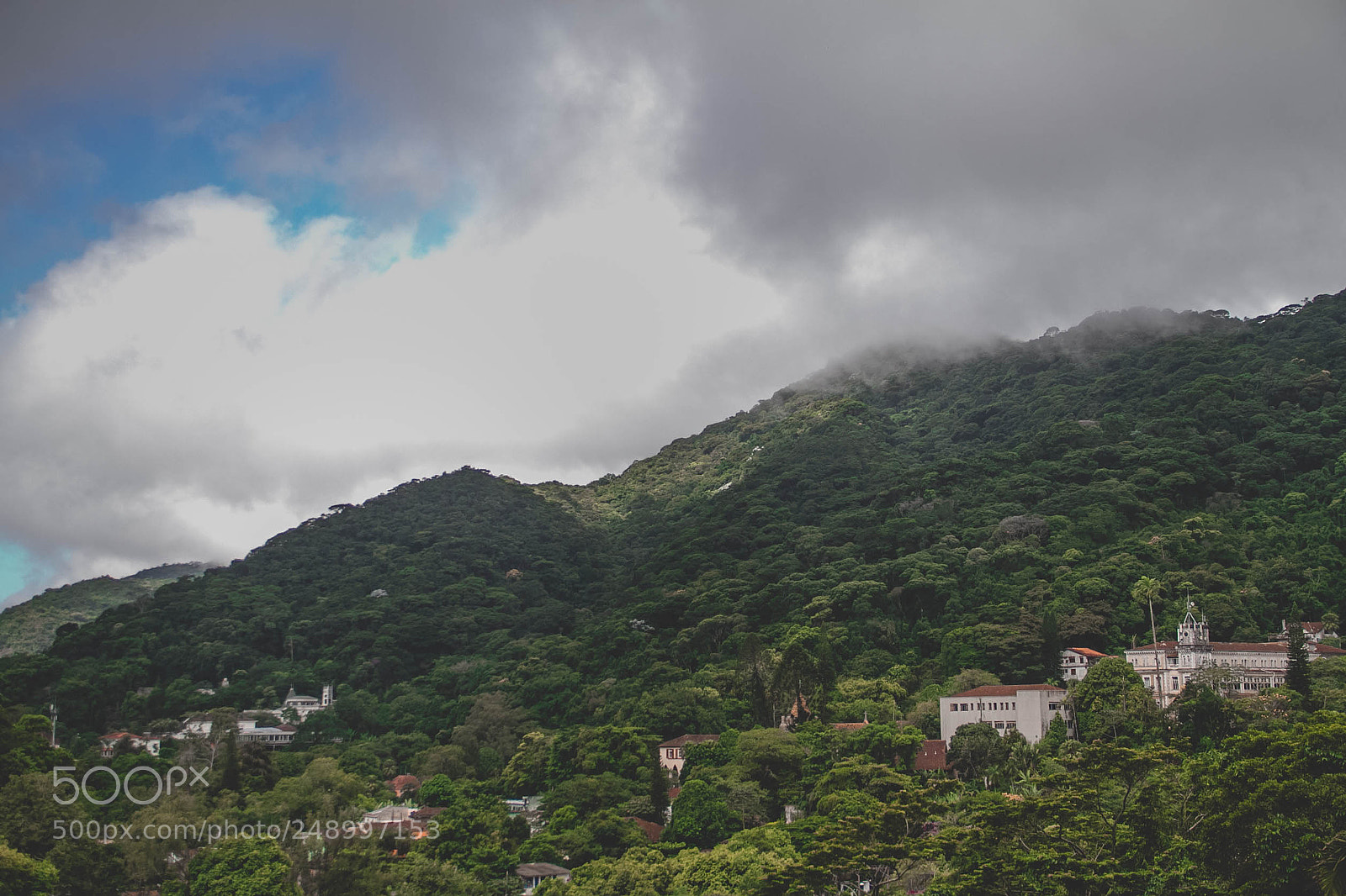 Canon EOS 7D sample photo. Floresta urbana photography