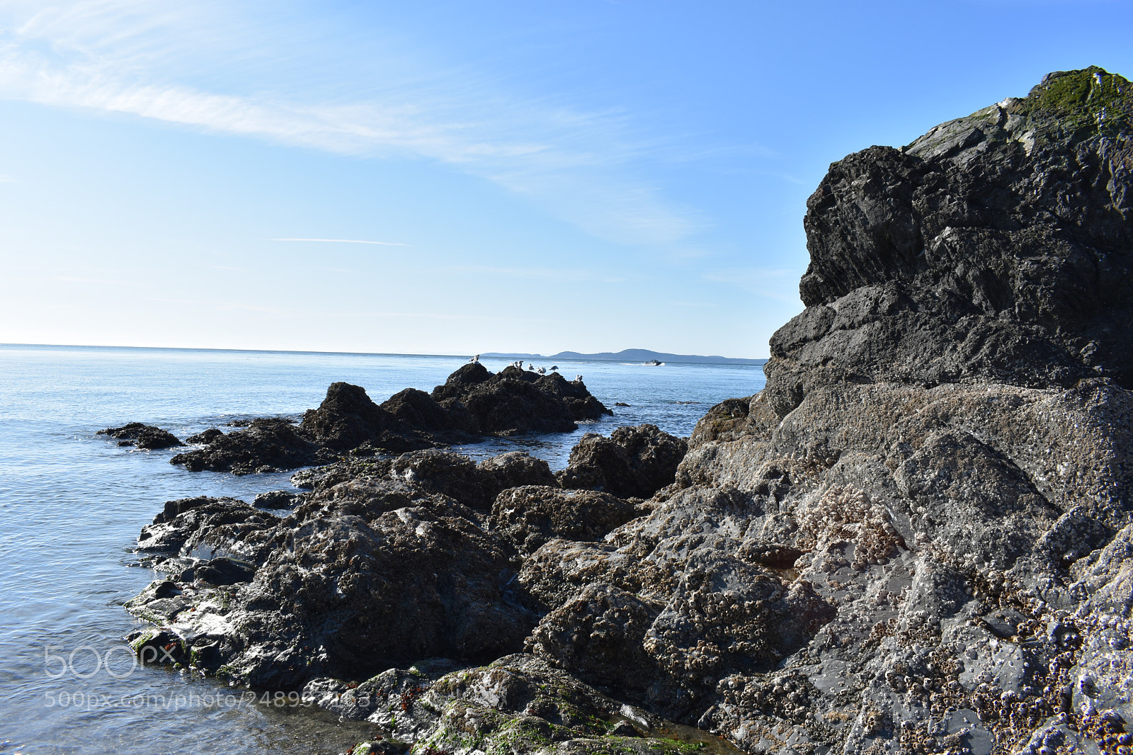 Nikon D3400 sample photo. Dsc photography