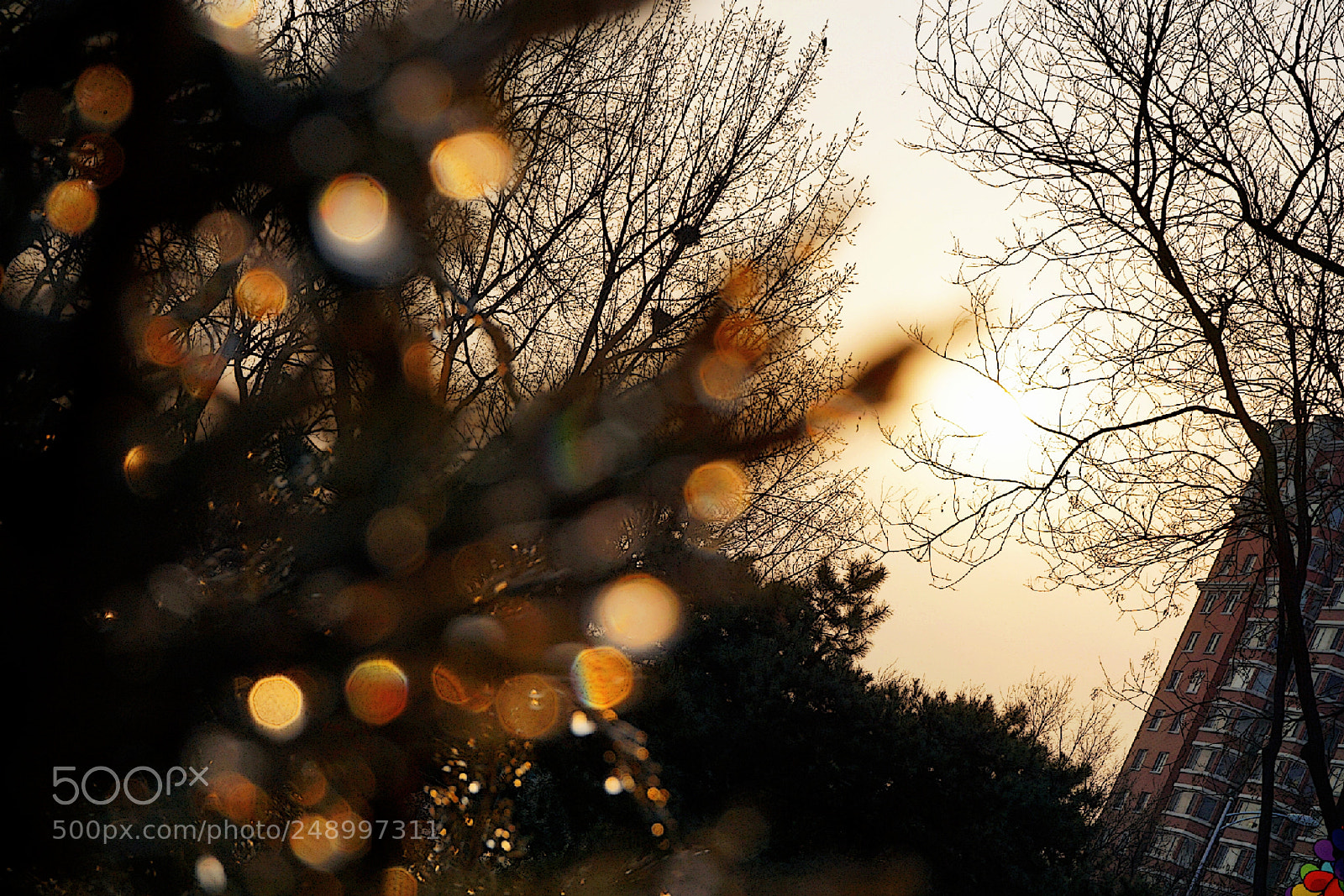 Sony a5100 sample photo. Untitled photography