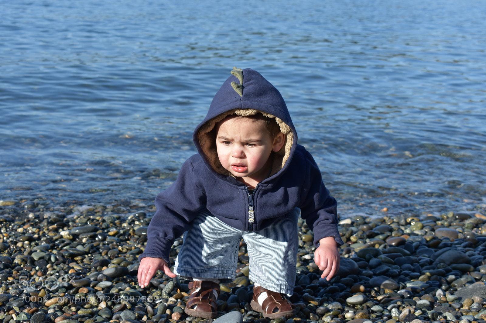 Nikon D3400 sample photo. Dsc photography