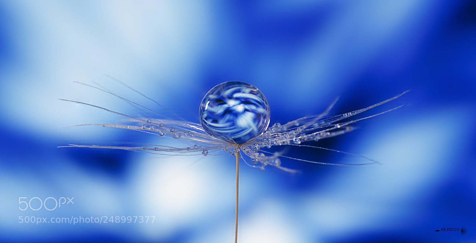 Nikon D7000 sample photo. Blue photography