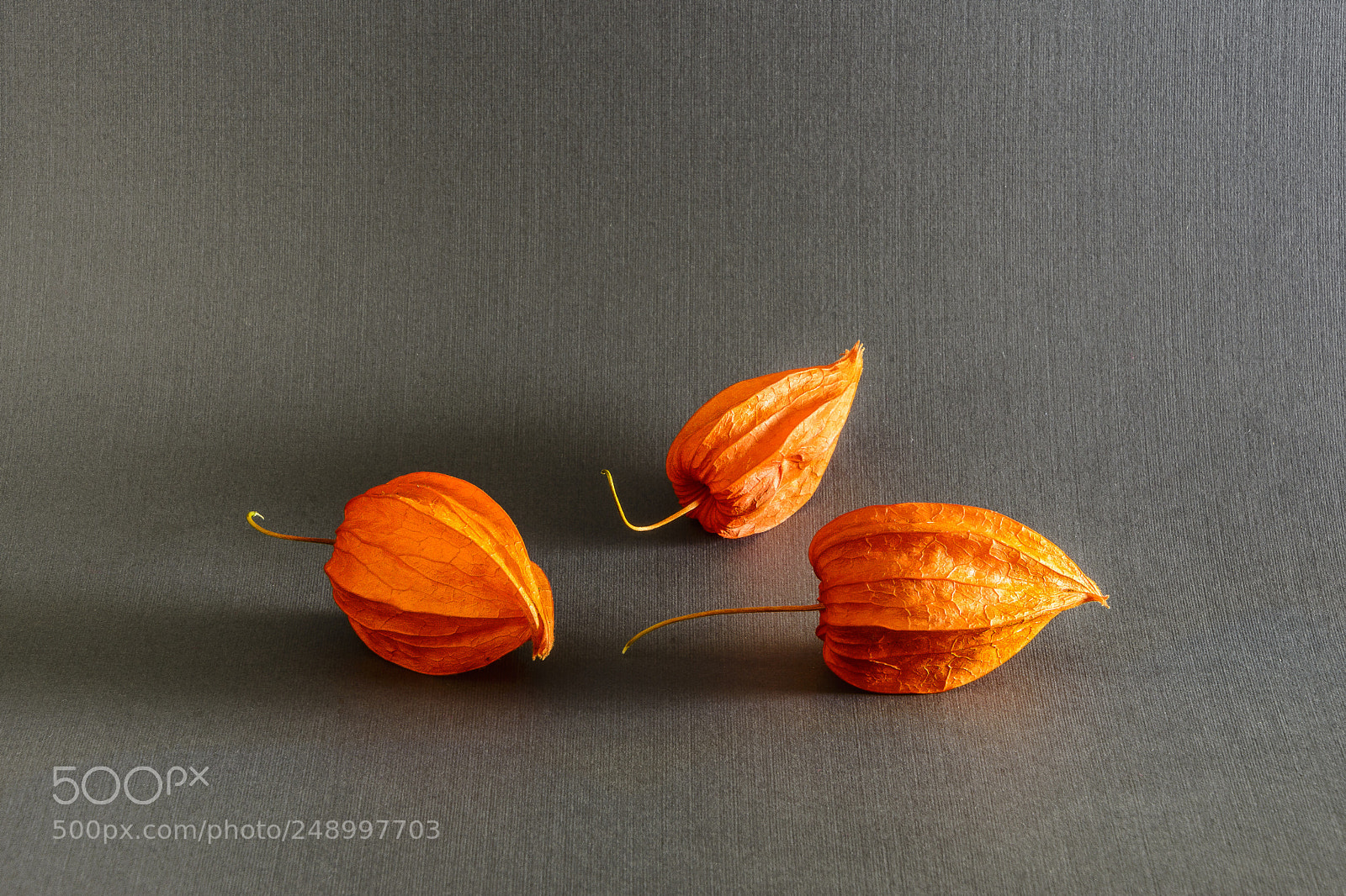 Nikon D7100 sample photo. Fall still life on photography