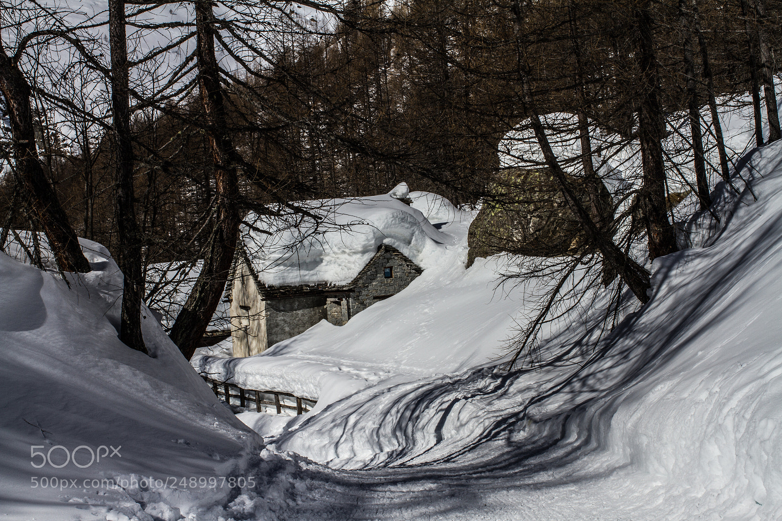 Canon EOS 7D sample photo. Into the woods photography