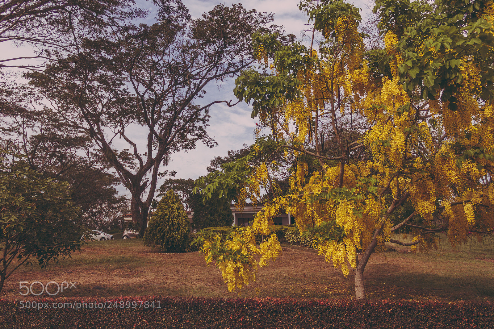 Canon EOS 60D sample photo. La pintada photography