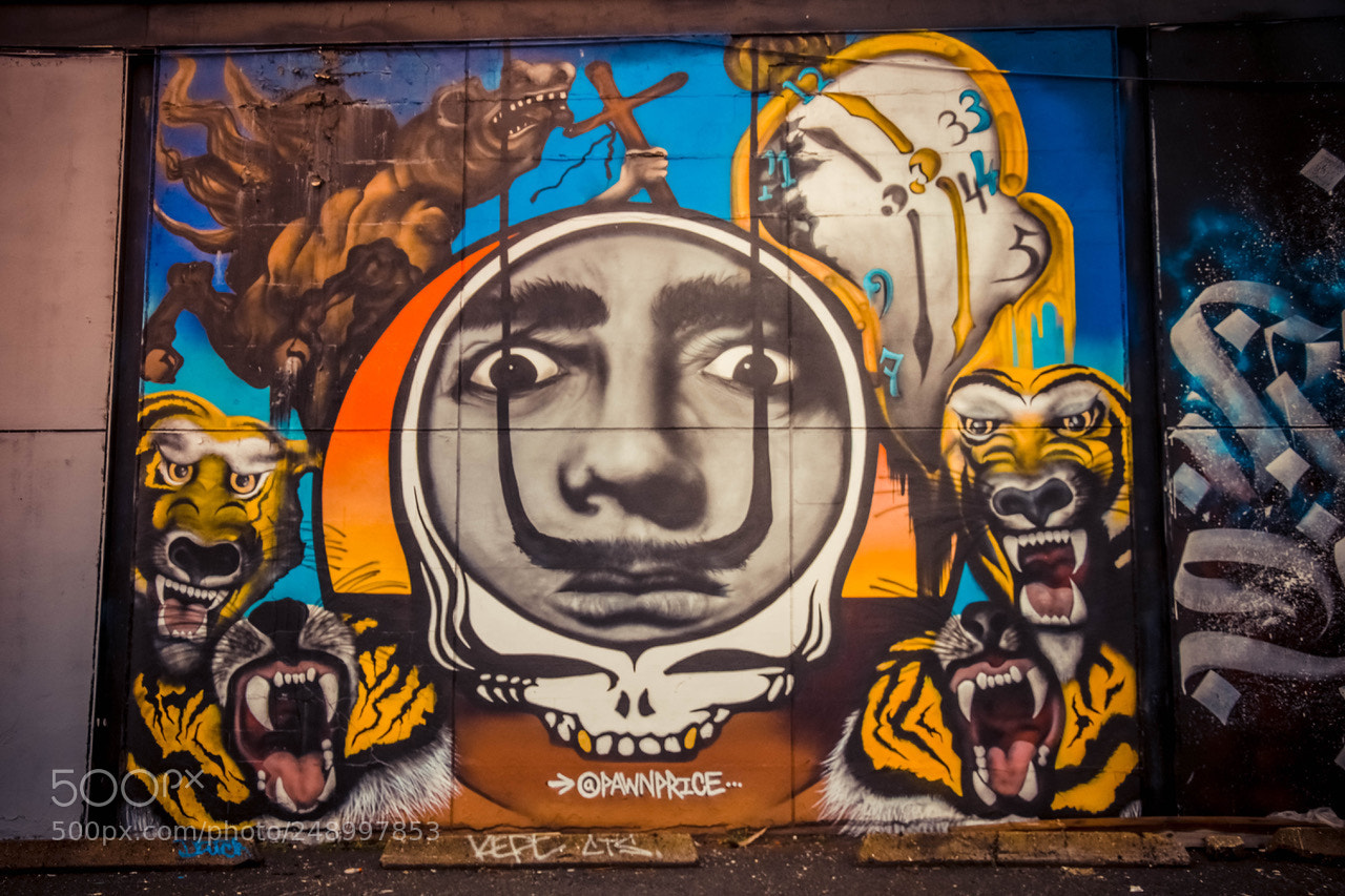Nikon D7200 sample photo. Street art photography
