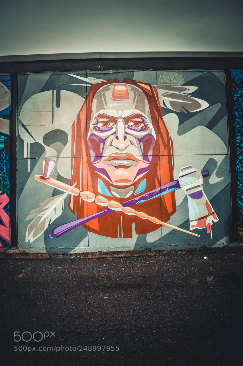 Nikon D7200 sample photo. Street art photography