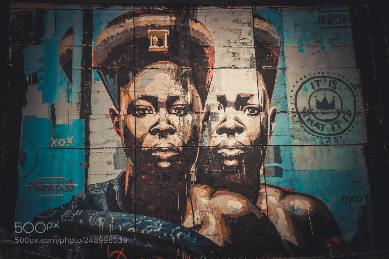 Nikon D7200 sample photo. Wakanda.. photography