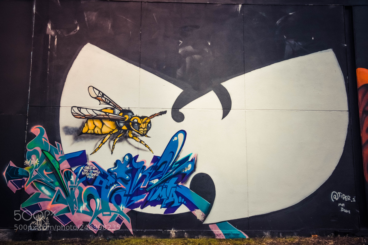 Nikon D7200 sample photo. Killa bee.. photography