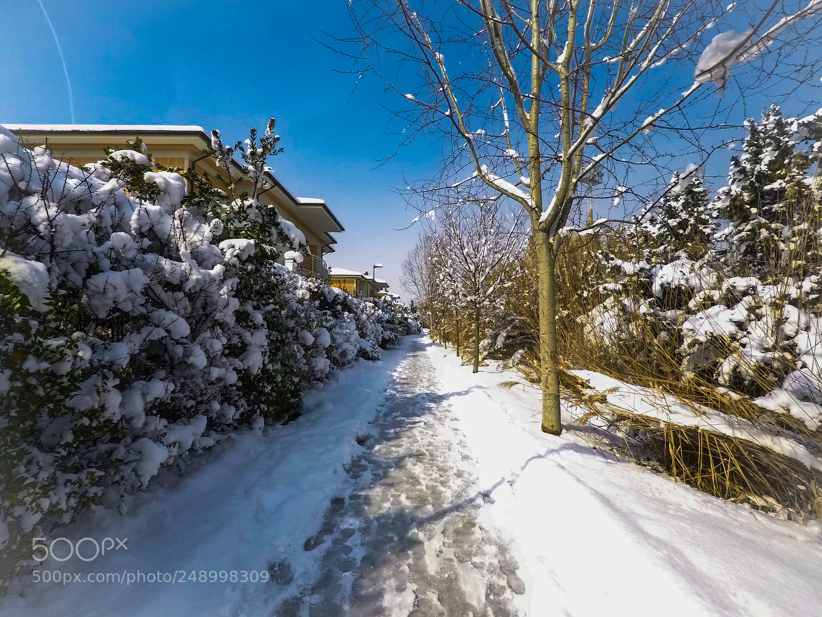 GoPro Hero5 Black sample photo. Untitled photography