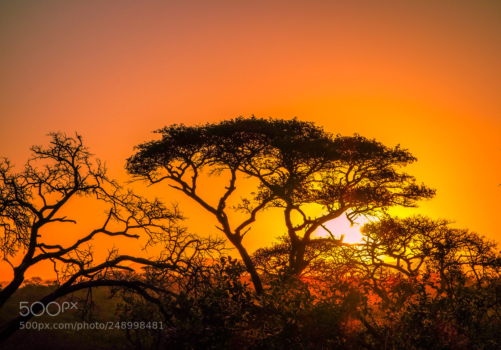 Sony Cyber-shot DSC-RX100 sample photo. African sunset photography