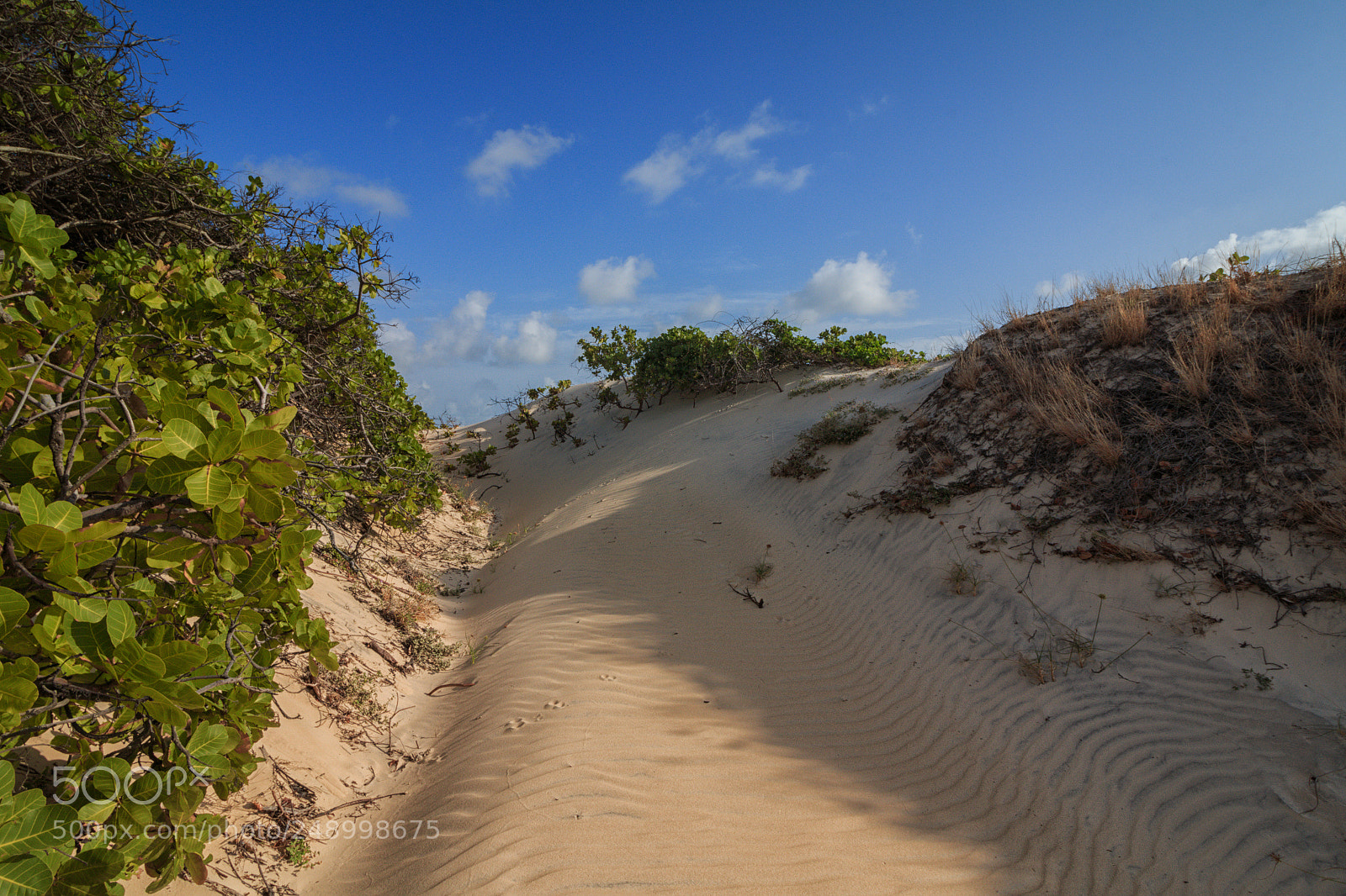 Canon EOS 70D sample photo. Sand dunes photography