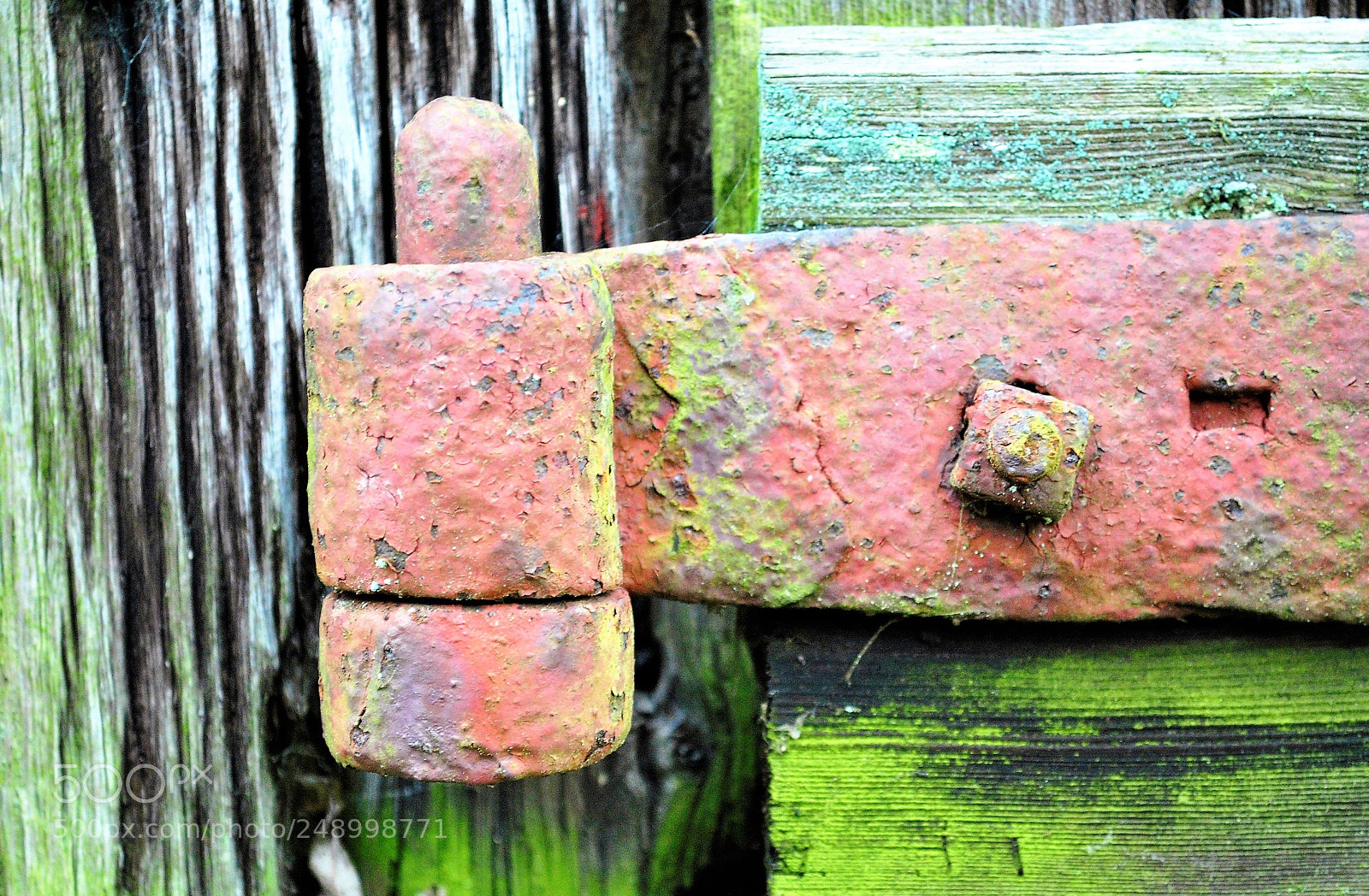 Nikon D3000 sample photo. Rustic old barn door photography