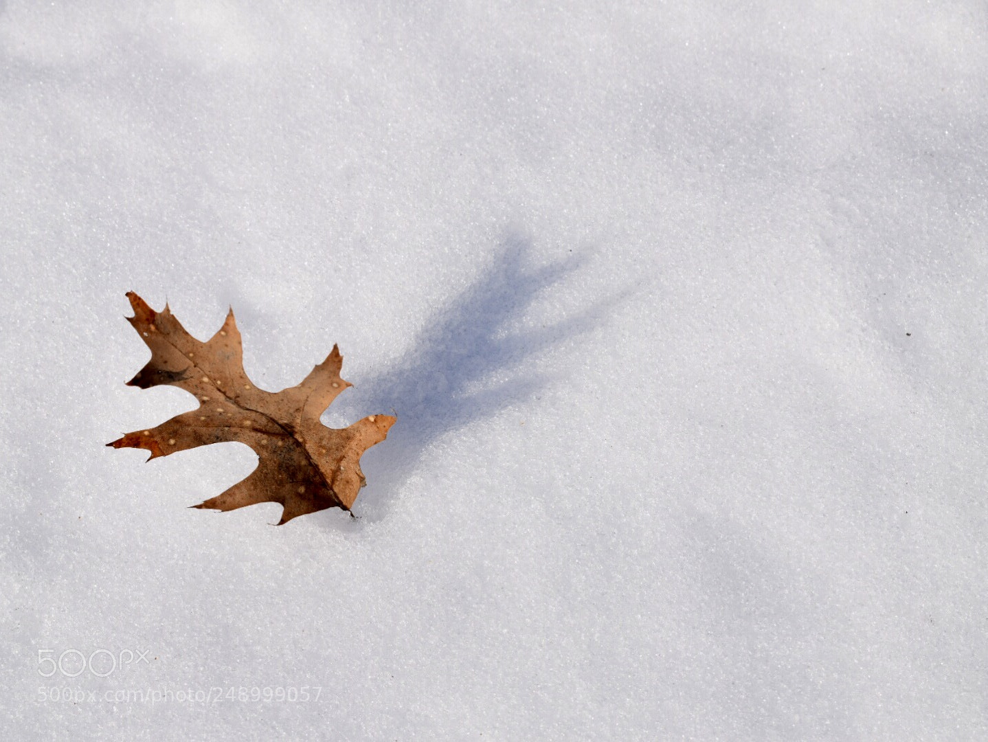 Nikon D5300 sample photo. Lone standing photography