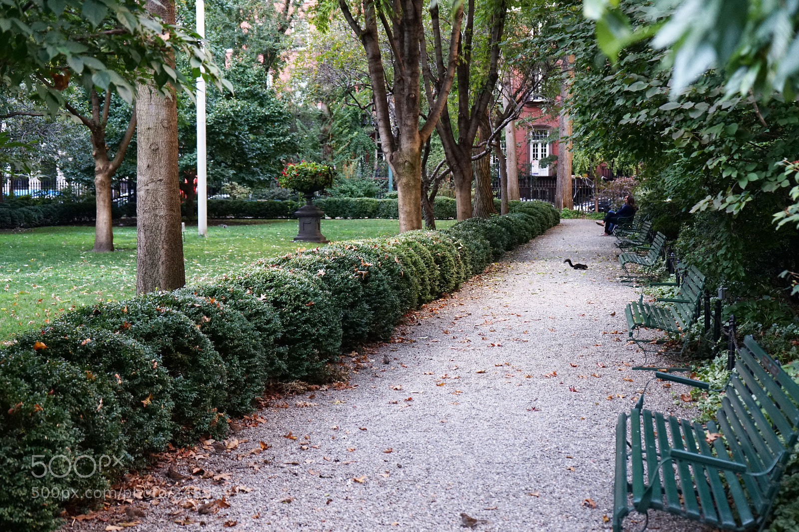 Sony a7 sample photo. Gramercy park photography