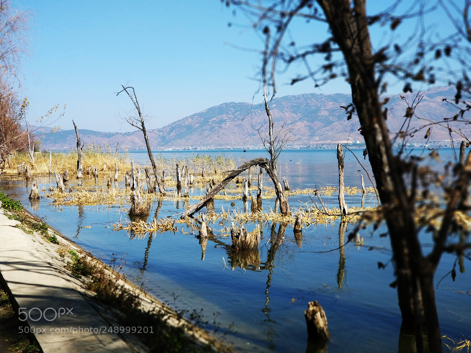 Xiaomi MI6 sample photo. 海舌半岛 photography