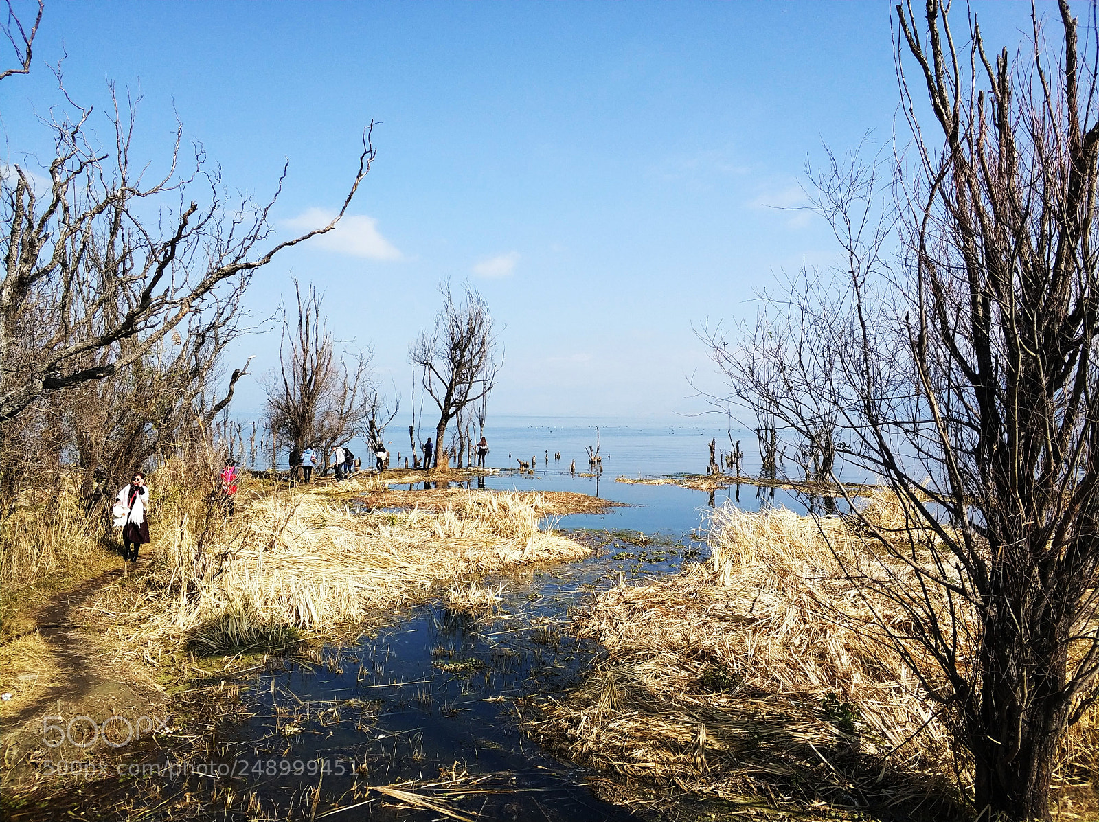 Xiaomi MI6 sample photo. 海舌半岛 photography