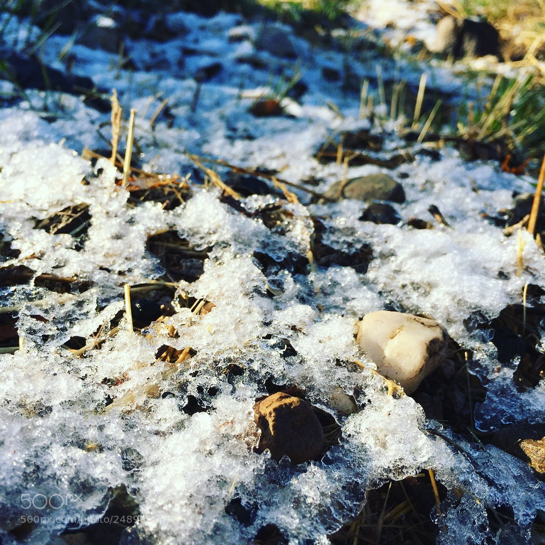 Apple iPhone 6 sample photo. This was a while photography