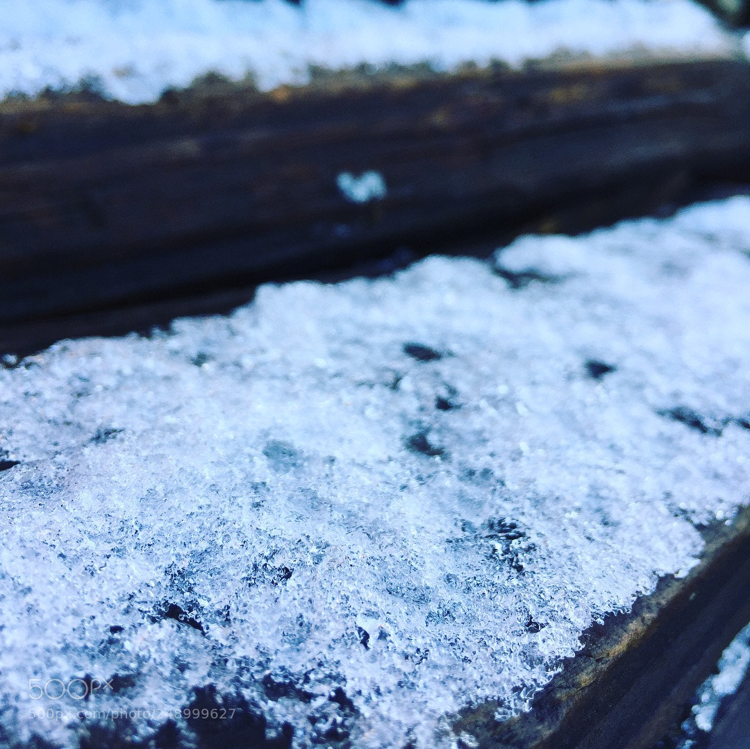 Apple iPhone 6 sample photo. Untitled photography
