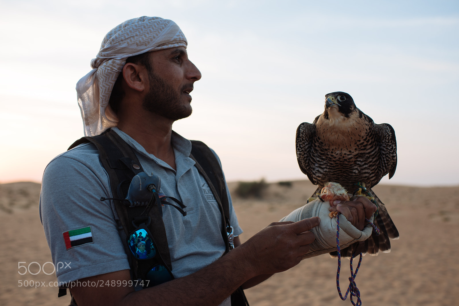 Nikon D810 sample photo. Falcon huntsman photography