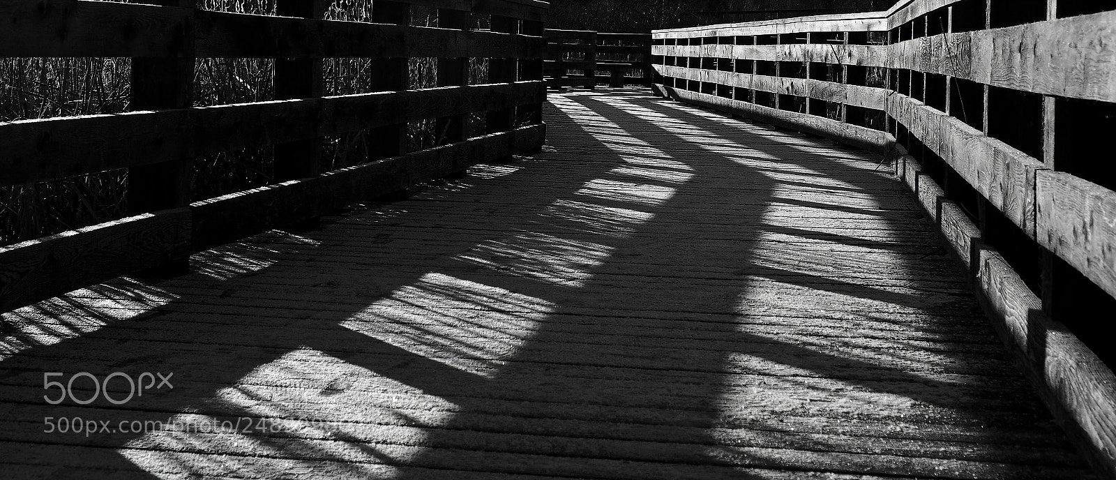 Olympus OM-D E-M1 sample photo. Boardwalk shadows photography