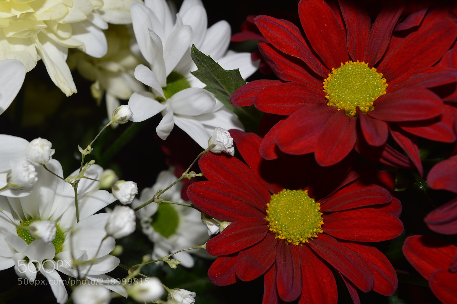 Nikon D3200 sample photo. Untitled photography